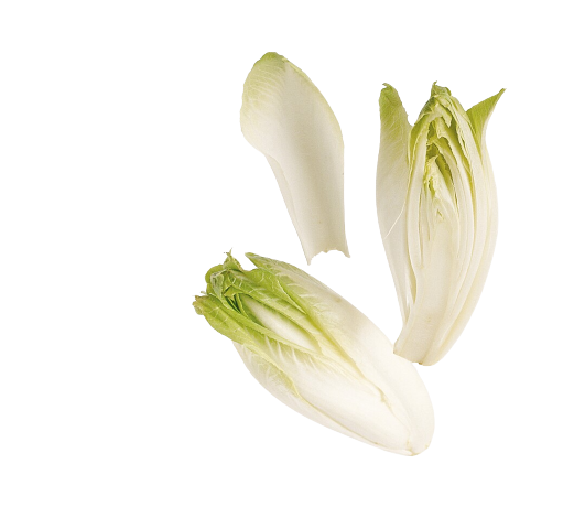 Salat sikori   500g      pk