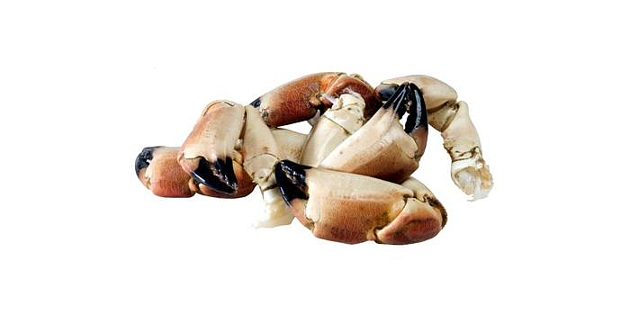 Krabbeklør store, frosne  kg