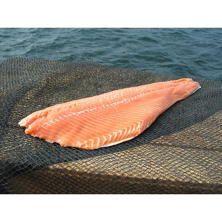 Laksefilet m/skinn c-trim 1,1-1,9kg  kg