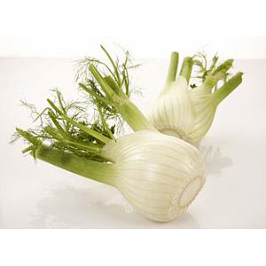 Fennikel                kg