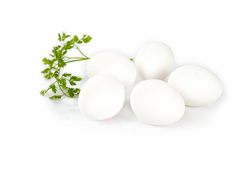 Egg 30 ml frittgående 8x30stk 15,12kg