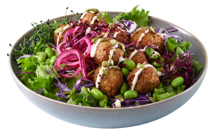 Vegetar falafel 466x8g  3,728kg