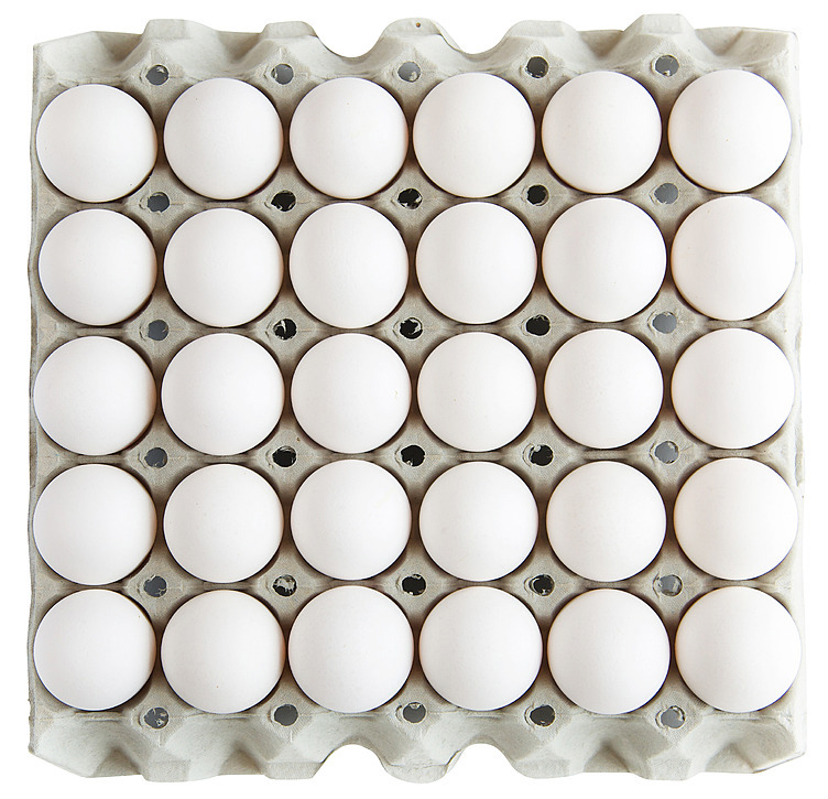 Egg finske frittgående 240stk (8 brett a 30 egg)  13,92kg