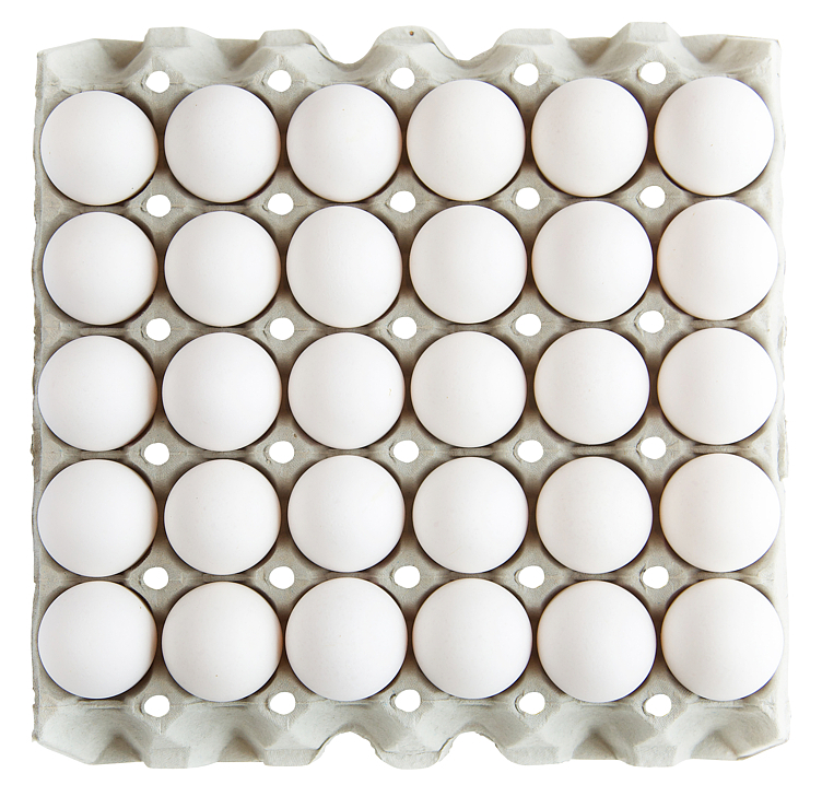 Egg m fra frittgående høner  30stk  1,74kg