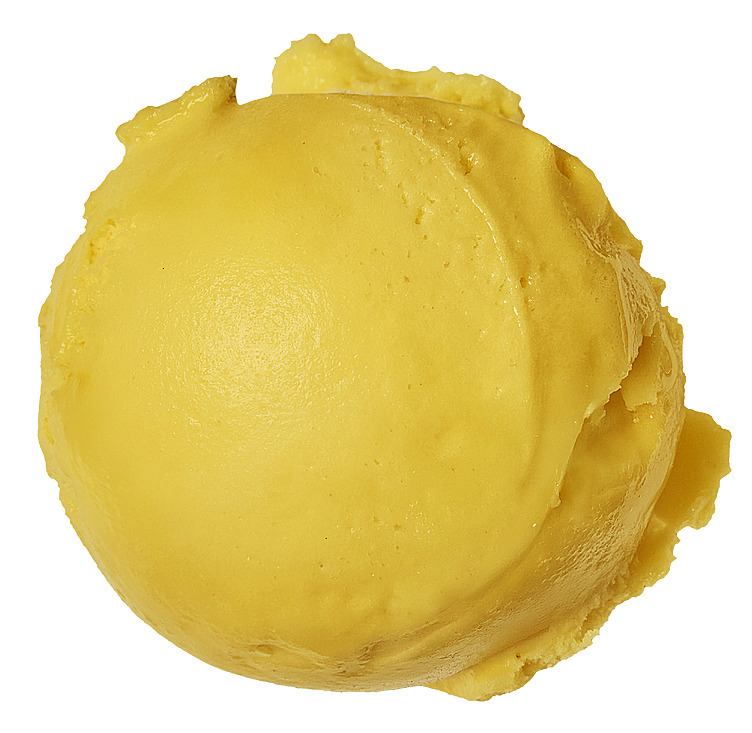 Mango sorbet   5l