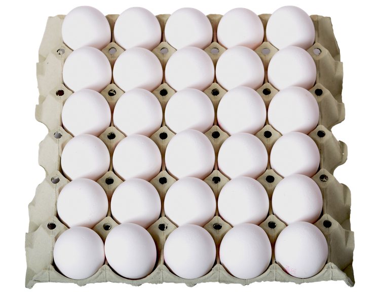 Egg små fra frittgående høner  30stk  1,44kg